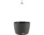 Hornbach Blumenampel Lechuza Nido Cottage 35 Kunststoff Ø 35 cm H 23 cm grau inkl. Erdbewässerungsystem, Substrat, Pflanzeinsatz