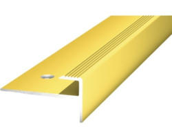 Treppenkante mit Einschub Alu gold gelocht 30 x 15 x 2500 mm