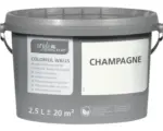 Hornbach StyleColor COLORFUL WALLS Wand- und Deckenfarbe champagner 2,5 L