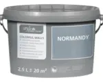 Hornbach StyleColor COLORFUL WALLS Wand- und Deckenfarbe normandy 2,5 L