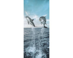 Fototapete Dolphines 97x220 cm