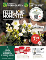 Oldenburger Wohngarten GmbH & Co. KG Feierliche Momente! - bis 15.11.2023