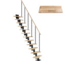 Hornbach Pertura Mittelholmtreppe Raumspartreppe Vaia Anthrazit Variabel variabel 1/4 gewendelt unten links/rechts Gerade 64 cm Stabgeländer Buche Leimholz Lackiert 11 Stufen / 12 Steigungen