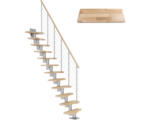 Hornbach Pertura Mittelholmtreppe Raumspartreppe Vaia Perlgrau Variabel variabel 1/4 gewendelt unten links/rechts Gerade 64 cm Stabgeländer Buche Leimholz Lackiert 11 Stufen / 12 Steigungen