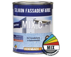 HORNBACH Silikon Fassadenfarbe im Wunschfarbton mischen lassen 1 l Basis C