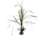 Hornbach Kunststoff-Wasserpflanze Water hair grass 39 cm, sortiert