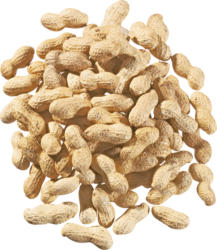 Cacahuètes, Provenance indiquée sur l’emballage, 500 g
