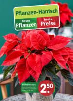Pflanzen Hanisch Pflanzen Hanisch: beste Pflanzen. beste Preise - bis 18.11.2023