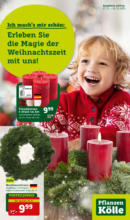 Pflanzen-Kölle Pflanzen Kölle: Erleben Sie die Magie der Weihnachtszeit mit uns! - bis 03.12.2023