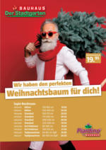BAUHAUS Weihnachtsbaumverkauf - bis 03.12.2023