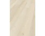 Hornbach Vinylboden 6.0 Avatara Fichte Polaris