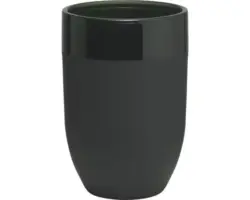 Zahnputzbecher Sealskin Bloom schwarz matt