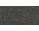 Hornbach Feinsteinzeug Bodenfliese Terrazzo Donau 30x60 cm graphit matt rektifiziert