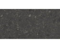 Feinsteinzeug Bodenfliese Terrazzo Donau 30x60 cm graphit matt rektifiziert