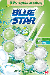 BLUE STAR pronature WC-Reiniger Minze Eukalyptus