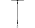 Hornbach Pendel Paulmann DecoSystem URail schwarz matt 230V