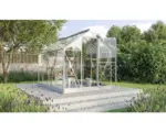Hornbach Gewächshaus Vitavia Triton 5000 Einscheibensicherheitsglas 3 mm 198 x 256 cm silber