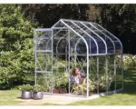 Hornbach Gewächshaus Vitavia Orion 5000 Einscheibensicherheitsglas 3 mm 202x257 cm Aluminium