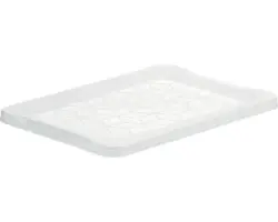 Aufbewahrungsbox Rotho 39,3 x 1,8 x 28,3 cm transparent