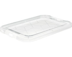 Aufbewahrungsbox Rotho 17,9 x 1,1 x 12,2 cm transparent