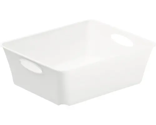 Aufbewahrungsbox Rotho 18,6 x 6 x 15,1 cm weiß