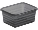 Hornbach Aufbewahrungskorb Rotho 14 x 6 x 11 cm anthrazit