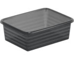 Hornbach Aufbewahrungskorb Rotho 19 x 6 x 14,5 cm anthrazit