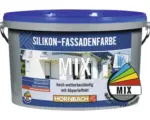 Hornbach HORNBACH Silikon Fassadenfarbe im Wunschfarbton mischen lassen 10 l Standard getönt