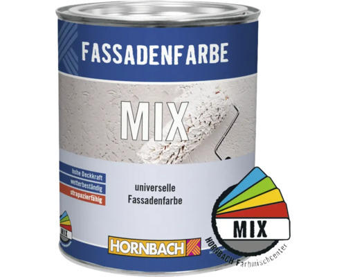 HORNBACH Fassadenfarbe im Wunschfarbton mischen lassen