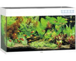 Hornbach Aquarium JUWEL Rio 125 mit LED-Beleuchtung, Pumpe, Filter, Heizer ohne Unterschrank weiß