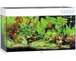 Hornbach Aquarium JUWEL Rio 125 mit LED-Beleuchtung, Pumpe, Filter, Heizer ohne Unterschrank weiß