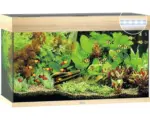 Hornbach Aquarium JUWEL Rio 125 mit LED-Beleuchtung, Pumpe, Filter, Heizer ohne Unterschrank helles Holz