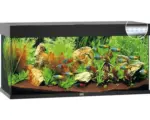 Hornbach Aquarium JUWEL Rio 180 mit LED-Beleuchtung, Pumpe, Filter, Heizer ohne Unterschrank schwarz
