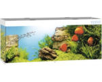 Hornbach Aquarium JUWEL Rio 450 mit LED-Beleuchtung, Pumpe, Filter, Heizer ohne Unterschrank weiß