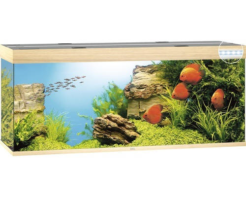 Aquarium JUWEL Rio 450 mit LED-Beleuchtung, Pumpe, Filter, Heizer ohne Unterschrank helles Holz