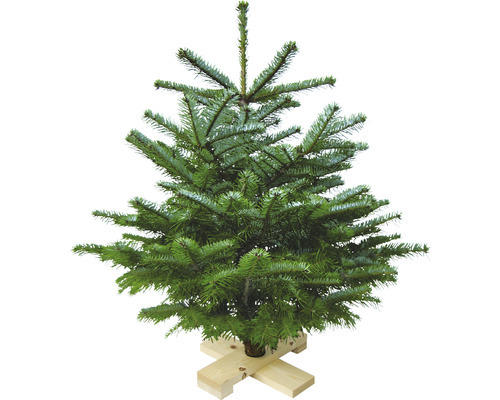 Christbaum Nordmanntanne auf Holzkreuz H 80-100 cm geschlagener Weihnachtsbaum aus nachhaltigem Anbau