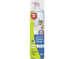 Hornbach Wespen-Powerspray Protect Home 600 ml