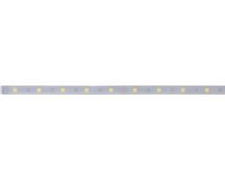 LED Band LED Stripe Paulmann MaxLED 250 24 V 230 lm 2700 K einstellbares weiß IP 20 1 m