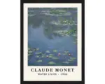 Hornbach Gerahmtes Bild Monet Waterlilies 33x43 cm