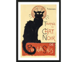 Gerahmtes Bild Tourmee DuChat Noir 53x73 cm