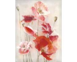 Leinwandbild Only Red Flowerss 57x77 cm