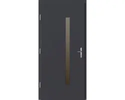 Haustür Silves Kiefer lackiert anthrazit 1100x2100 mm DIN links