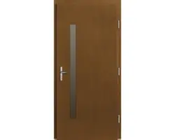 Haustür Maia Kiefer lackiert afromosia 1000x2000 mm DIN rechts