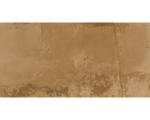 Hornbach Feinsteinzeug Terrassenplatte Metallic Corten Brown 60x120x2cm