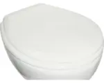 Hornbach WC-Sitz Adob Iseo weiß