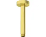 Hornbach Deckenarm Ideal Standard Idealrain Atelier 1 Zoll brushed gold B9446A2