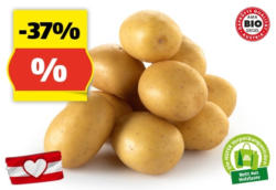 ZURÜCK ZUM URSPRUNG BIO-Kartoffeln aus Östereich, 3 kg