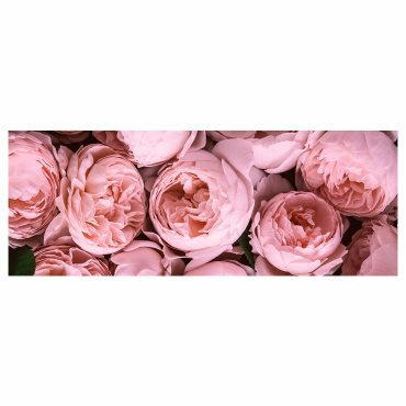 BJORKSTA картина "Розов божур", 56x140см