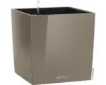 Hornbach Pflanzkübel Lechuza Cube Premium 40 40x40x40 cm taupe inkl. Pflanzeinsatz und Erdbewässerungssystem