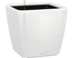 Hornbach Pflanzkübel Lechuza Quadro 21 x 21 x H 20 cm weiß inkl. Erdbewässerungsystem Pflanzeinsatz Substrat Wasserstandsanzeiger